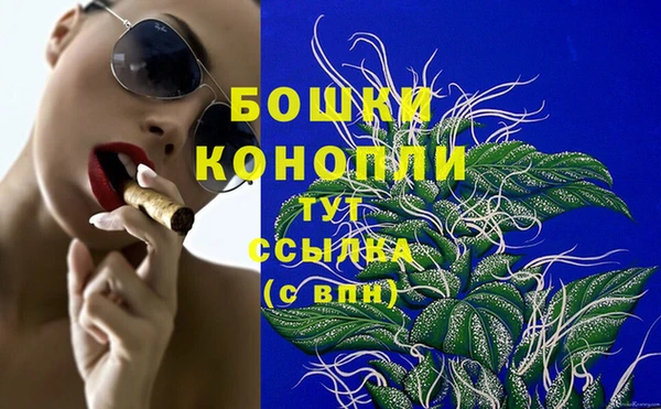 кокаин Белокуриха
