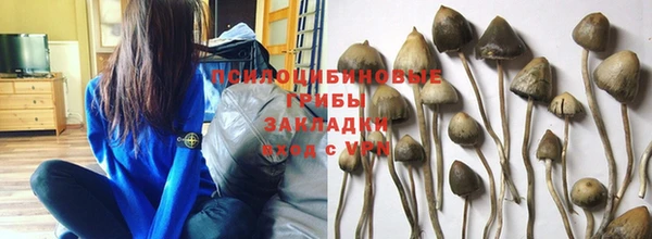 кокаин Белокуриха