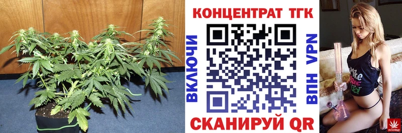 ТГК Wax  Хилок 